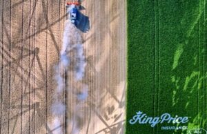King Price wants to help uplift farmers to grow its market share