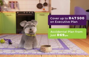 OUTsurance promotes its Executive Pet insurance