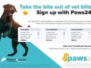 Dotsure promotes Hollard’s Paws24 as its own