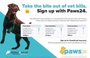 Dotsure promotes Hollard’s Paws24 as its own