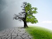 Old Mutual shows its commitment to help clients mitigate climate risks