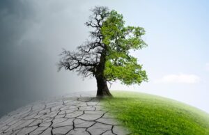 Old Mutual shows its commitment to help clients mitigate climate risks